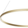 Подвесной светильник MAYTONI RIM MOD058PL-L54BSK