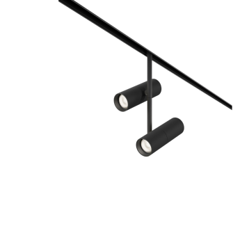 Трековый светильник MAYTONI ELTI DUO TR005-4-2X12W-DS-B