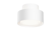 Потолочный светильник MAYTONI SPACE C092CL-GX53-W